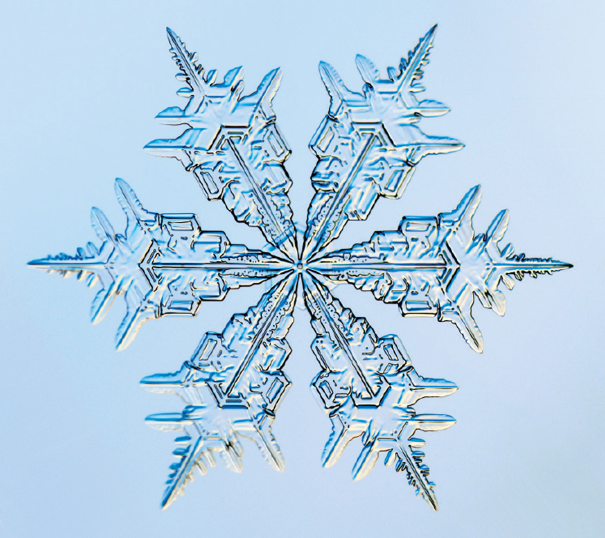 An image of a snowflake captured by Kenneth Libbrecht with a specially designed photomicroscope.