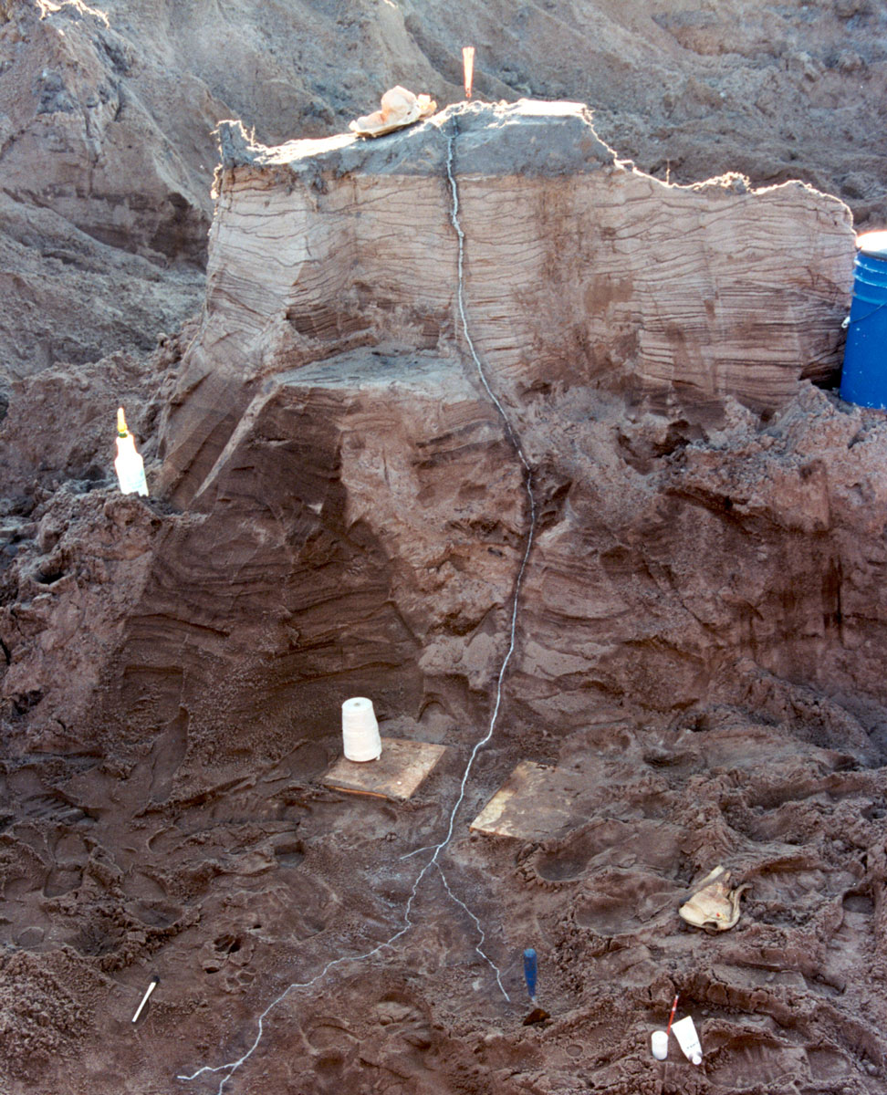 The world’s largest excavated fulgurite.
