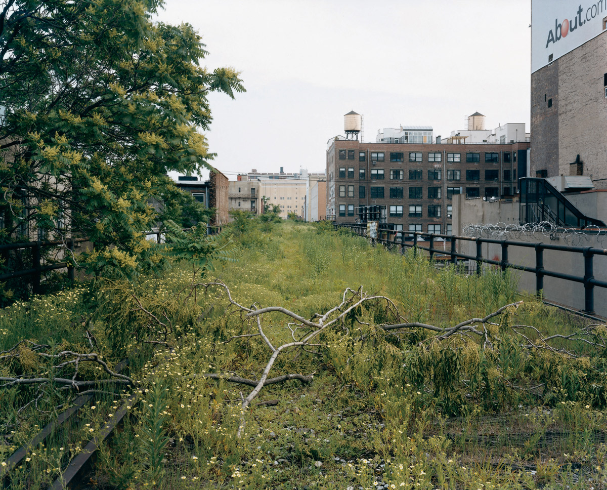 A 2000 photograph by artist Joel Sternfeld entitled “The High Line, Looking South From 29th Street, Late June Afternoon, 2000.”