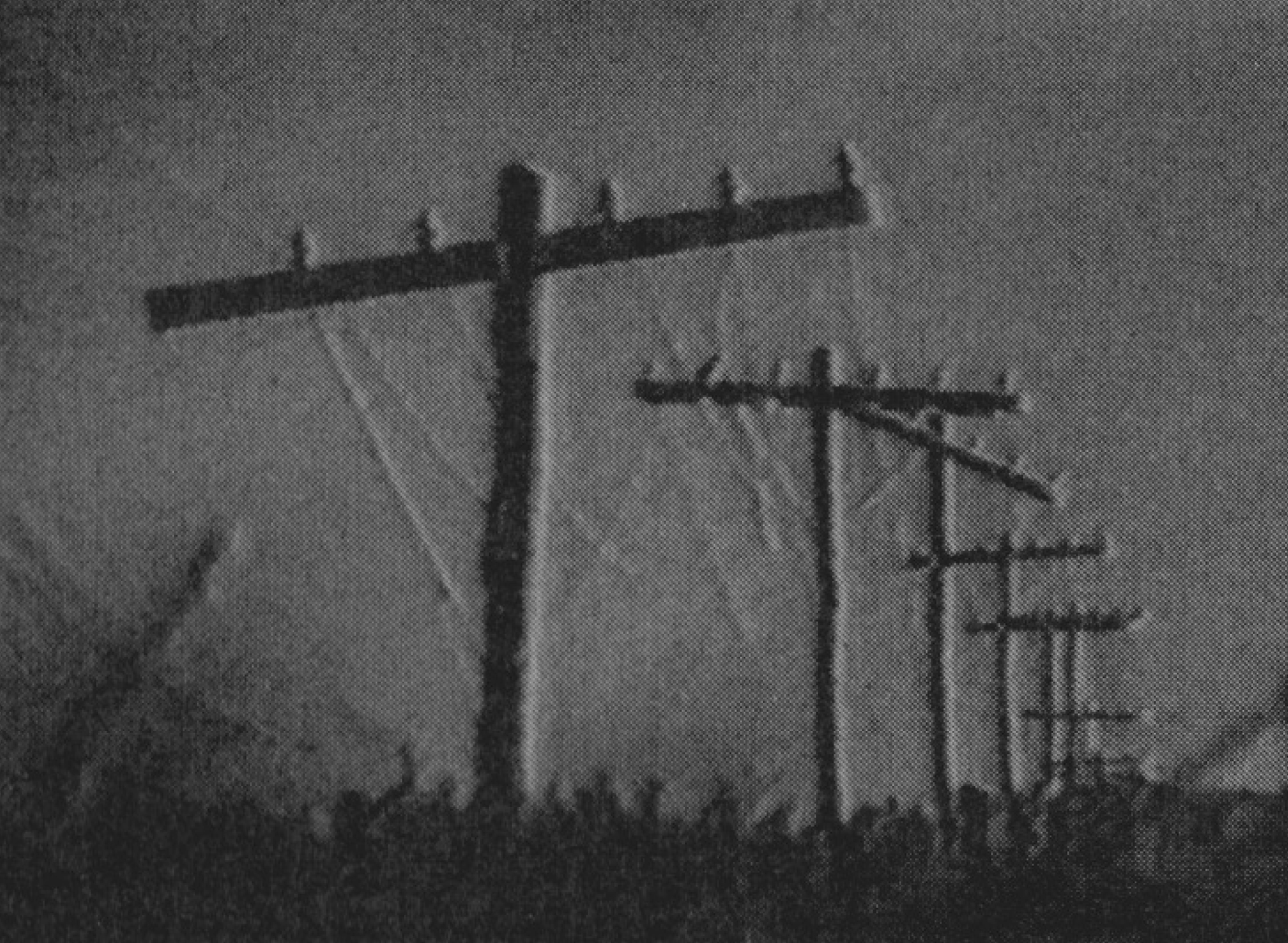 Telephone wires used in Alan Lamb’s “Primal Image.” Photo Alan Lamb.