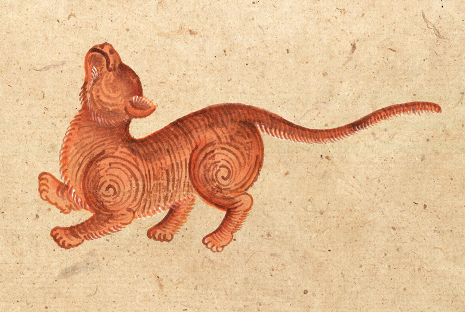 An illustration of a Suphalak (Excellence) or Thong Daeng (Copper) cat from a mid-nineteenth-century manuscript titled “Tamra Maew.” The accompanying caption reads: “Of appearance superb, a graceful feline.
Color of copper glinting,
Eyes lit like shining rays
Against all evil, malevolence turns to content.”