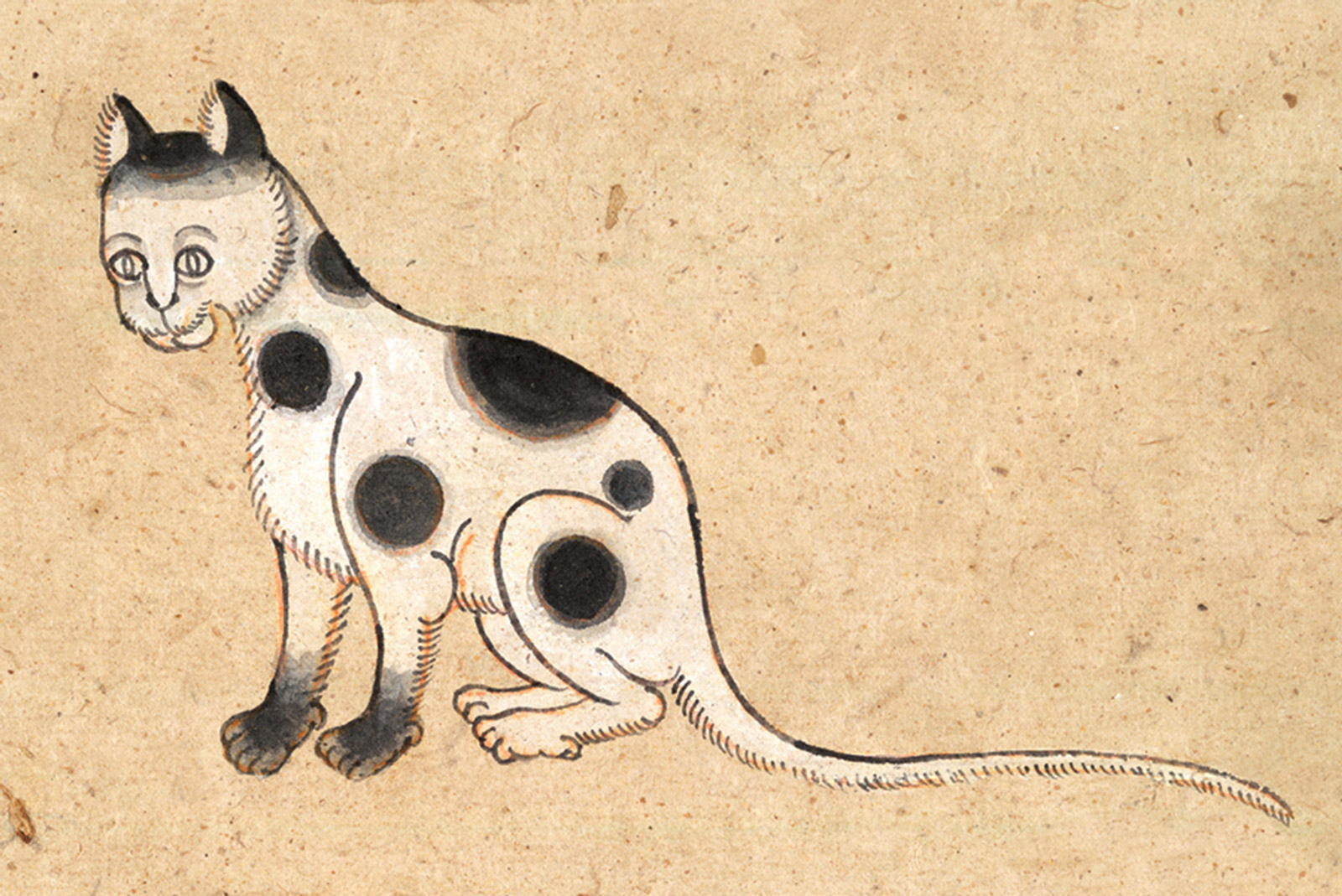 An illustration of a Kao Taem (Nine Points) cat from a mid-nineteenth-century manuscript titled “Tamra Maew.” The accompanying caption reads: “Alternating circles on neck, head, and hind thighs,
Plus on both shoulders and front paws,
Black covering the ends of both paws.
Nine horse-like black spots on an all-white background.”