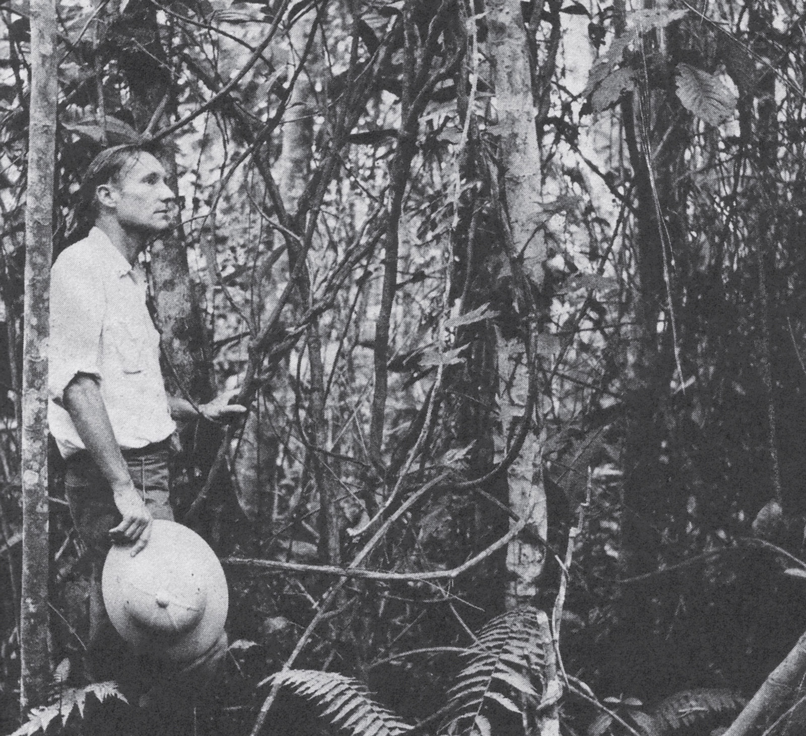 William Burroughs surrounded by yagé vine in the jungle outside Mocoá,
Colombia, 1953.