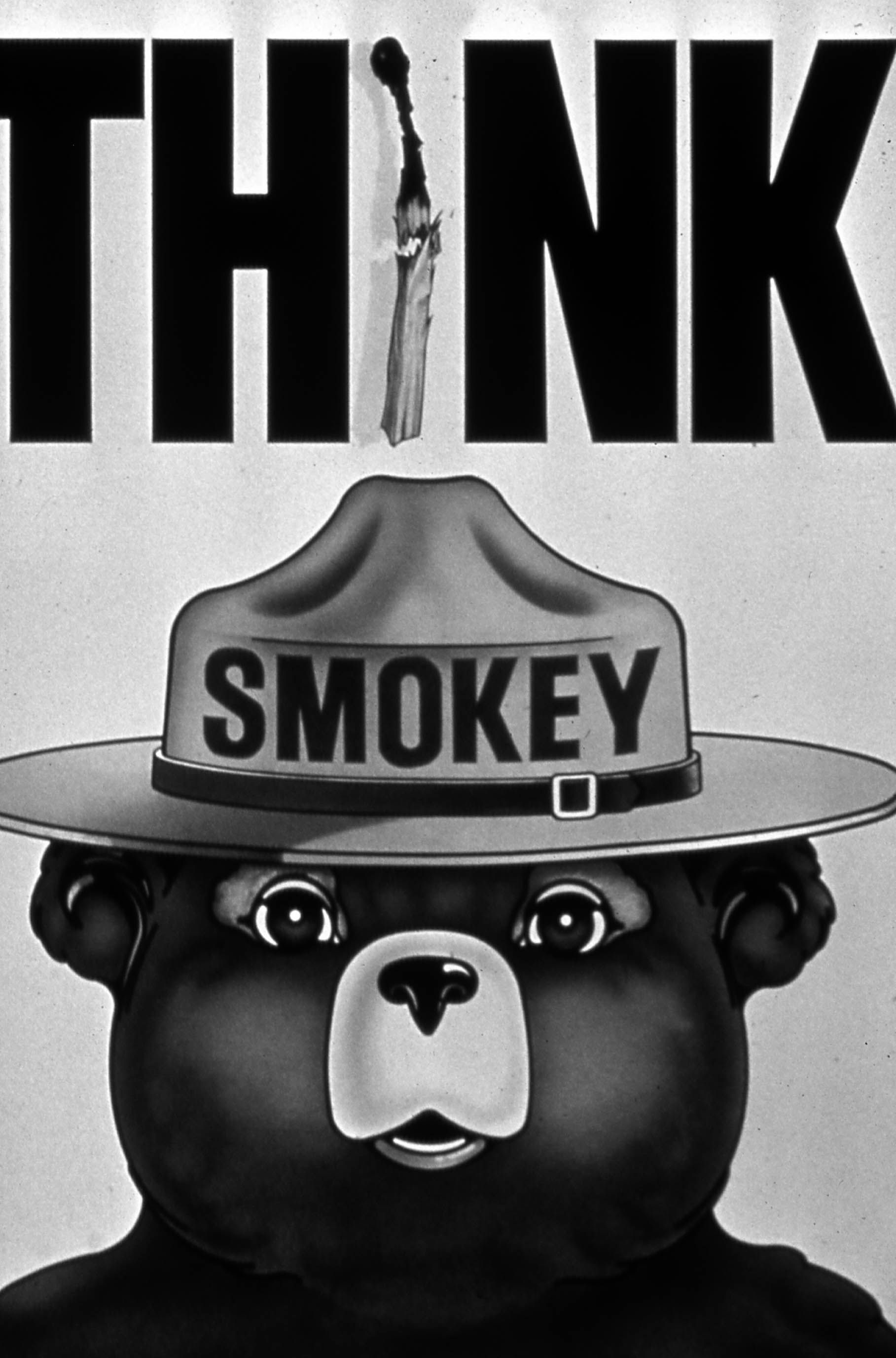 “Think before you strike.” Smokey Bear wildfire prevention campaign poster, 1974. Courtesy US Forest Service.