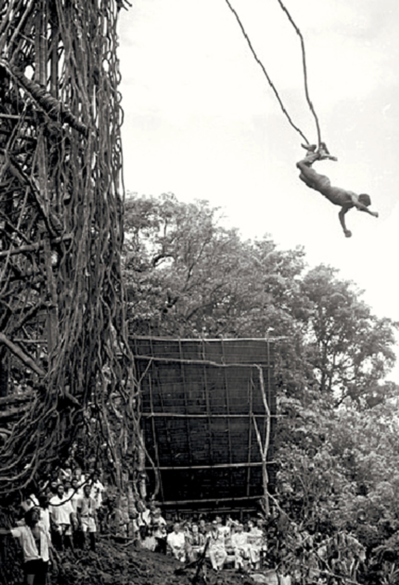 A photograph of a man on Pentecost Island in Vanuatu bungee jumping from a tower.