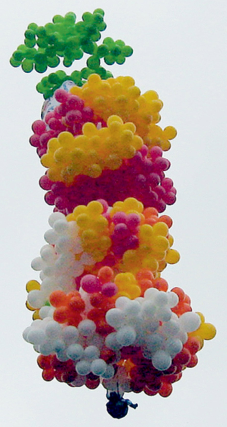 A photograph of Father Adelir Antonio de Carli on his balloon-assisted ascent.