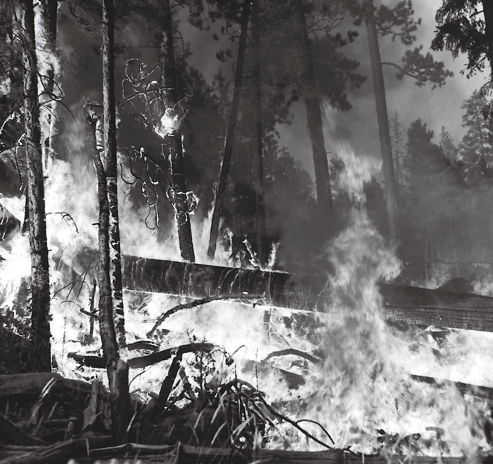 A 1951 photograph of a forest fire on Wolf Creek in Oregon's Ochoco National Forest. 