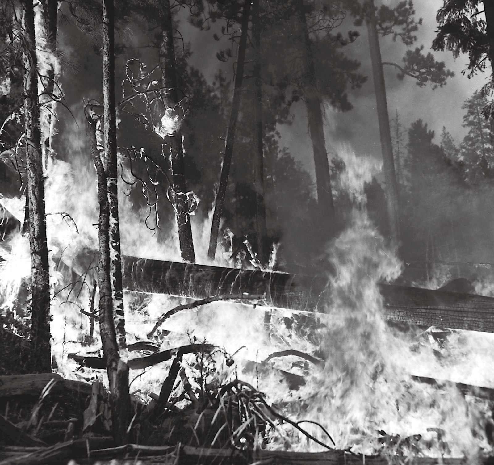 A 1951 photograph of a forest fire on Wolf Creek in Oregon's Ochoco National Forest.