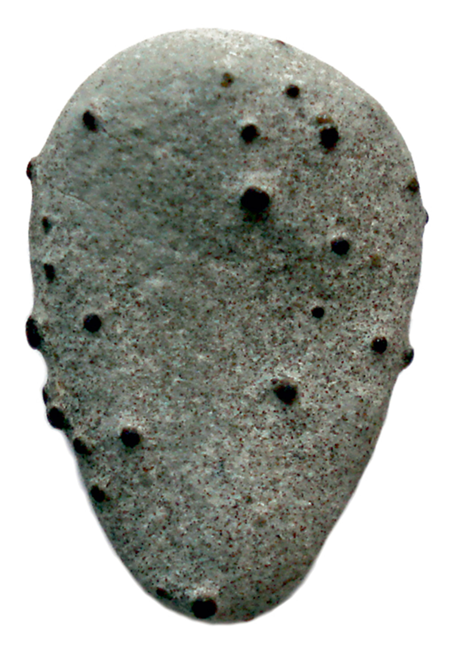 A photograph of a rock which resembles a cactus.