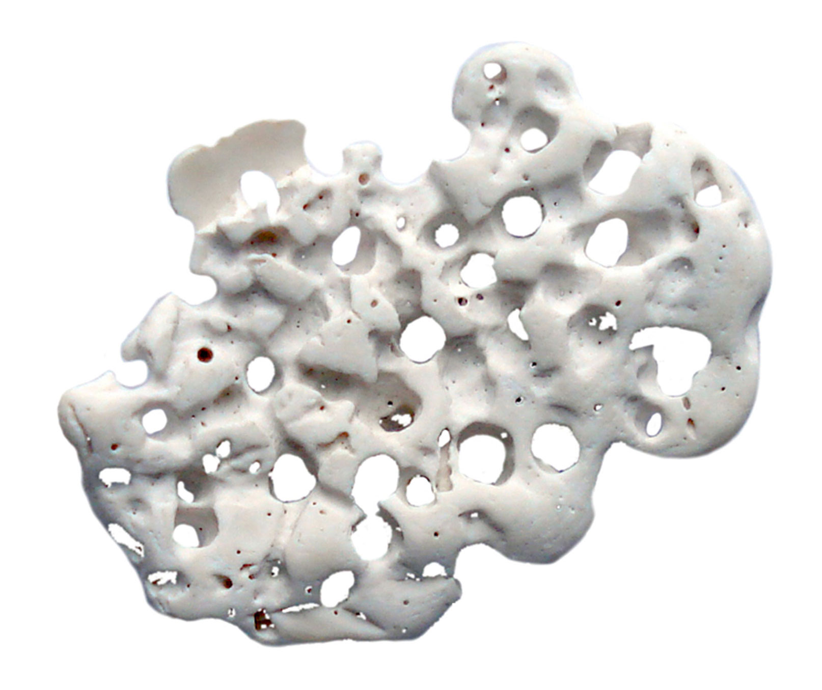 A photograph of a rock which resembles tripe.