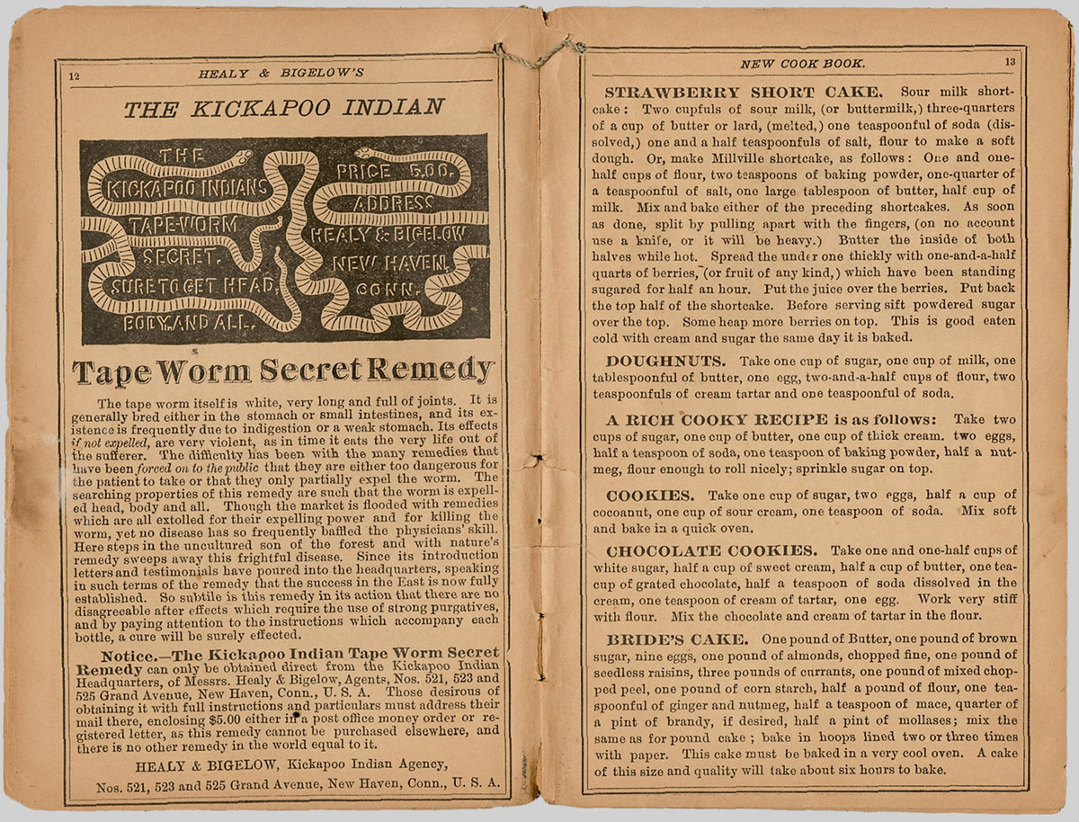 A scan of an advertisement from Healy & Bigelow’s 1890 New Cook Book.