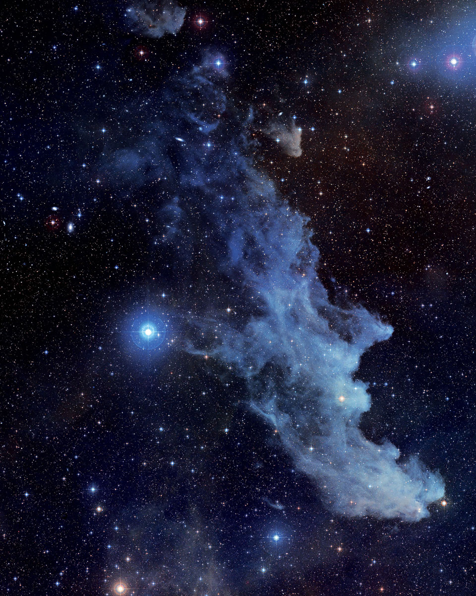An image of the Witch Head Nebula which shows fine dust reflecting the light of the bright star Rigel. 