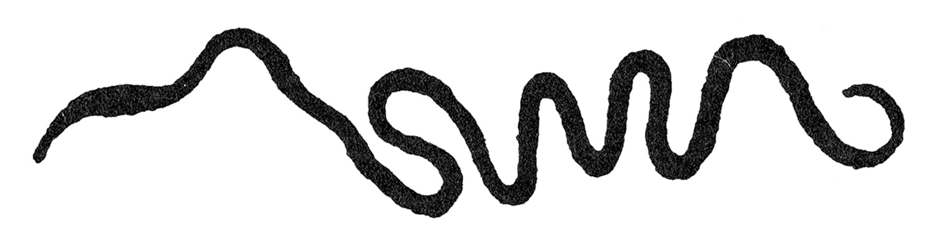 The squiggle from a contemporary Penguin edition of the novel where the 1838 version has been rotated a full one hundred and eighty degrees. 
