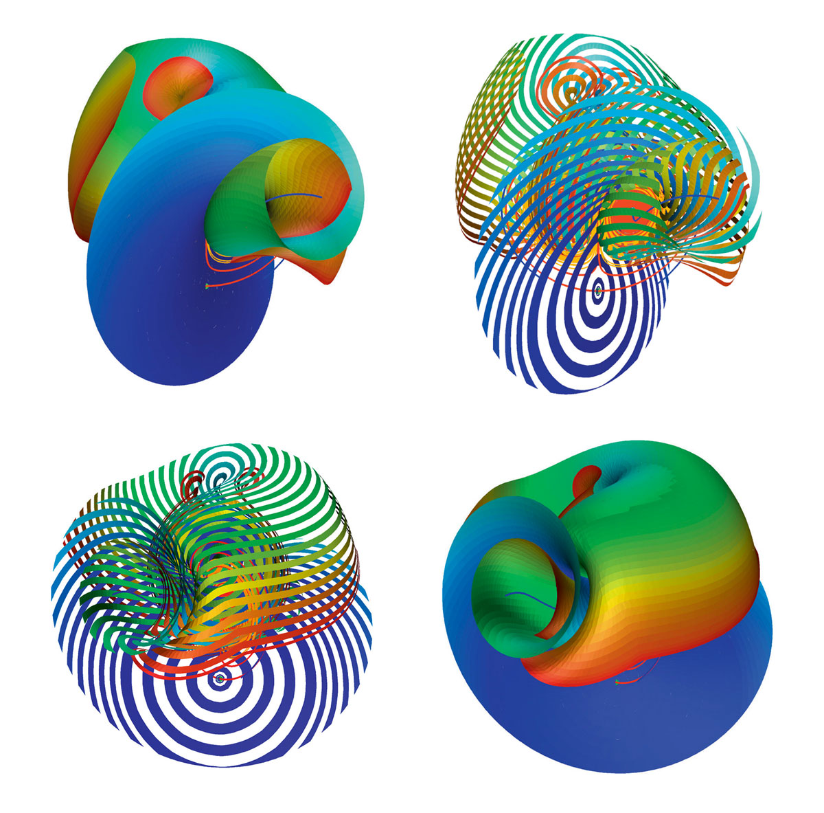 Four graphics representing details of the Lorenz manifold near the Lorenz attractor.