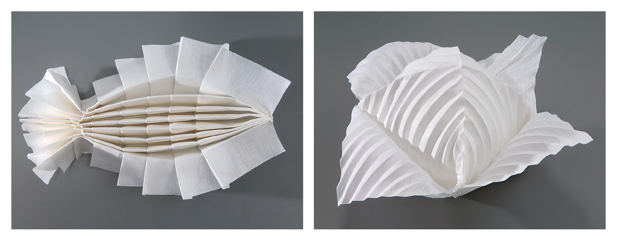 Two photographs of Joan Sallas’s napkin foldings. The first is titled “Fish” and resembles a fish. The second is titled “Cabbage” and resembles a cabbage.