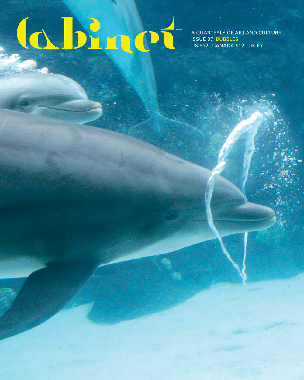 A photograph of a bottlenose dolphin swimming through a ring of bubbles that it has created for itself.