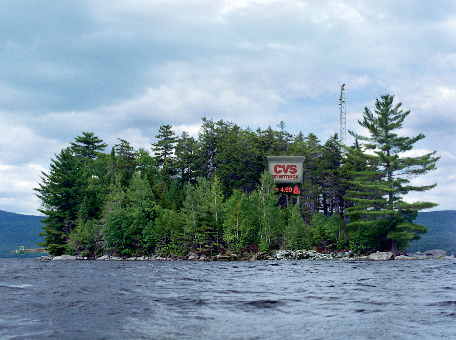 The front of this issue’s postcard featuring a two thousand and five photographic image by Mary Mattingly in which signage for a CVS pharmacy can be seen among a grove of trees on a small, uninhabited island. 