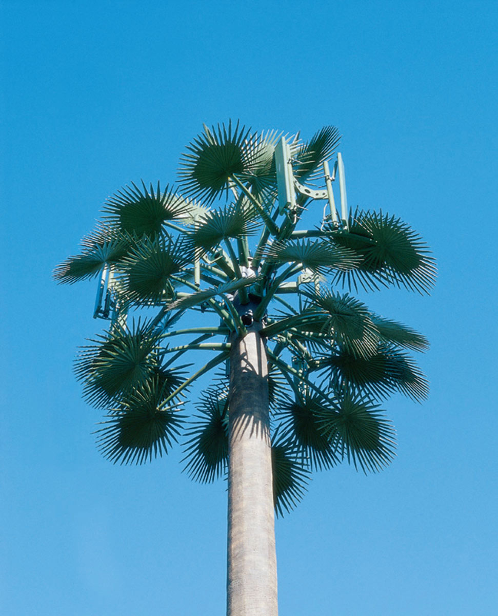 A photograph of a telecommunications tower disguised as a palm tree.