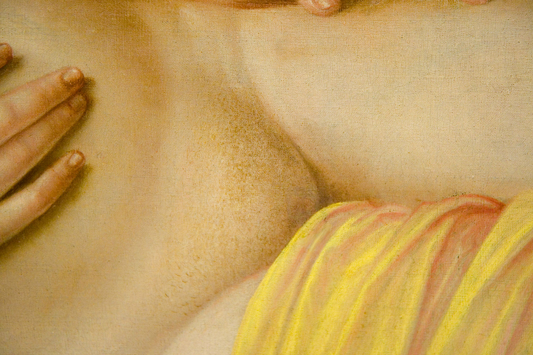 Detail of the subject’s smooth pudenda from Georg Pencz’s fifteen forty-four painting titled “A Sleeping Woman (Vanitas).”