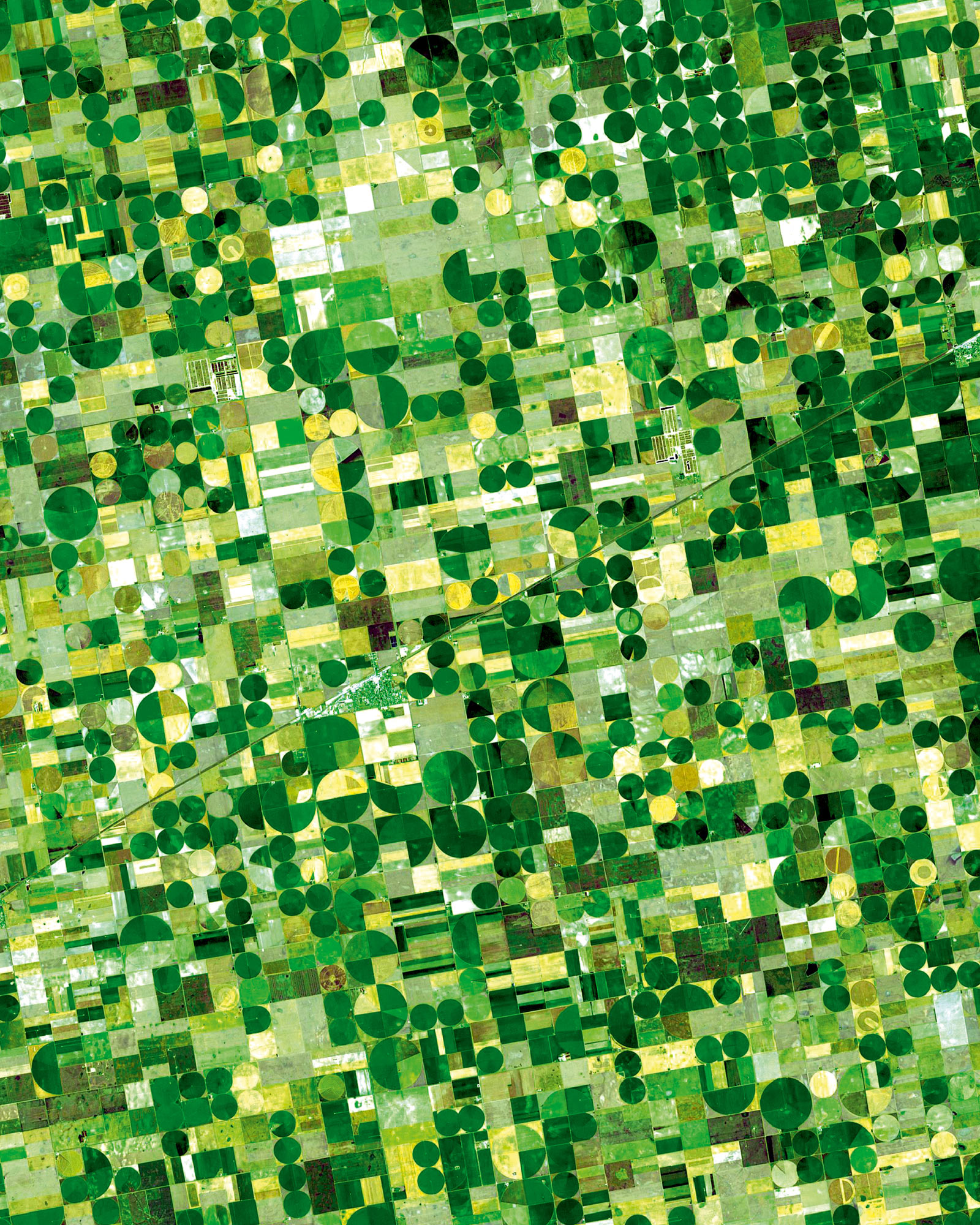 Crops in Finney County, Kansas, seen in a NASA image taken on the 24th of June two thousand and one. The water for the fields is drawn from Ogallala Aquifer, which lies under circa 175,000 square miles of the Great Plains. Farmers in the region have adopted the highly efficient method of central pivot irrigation, drawing water out of a single well in the center of the field.