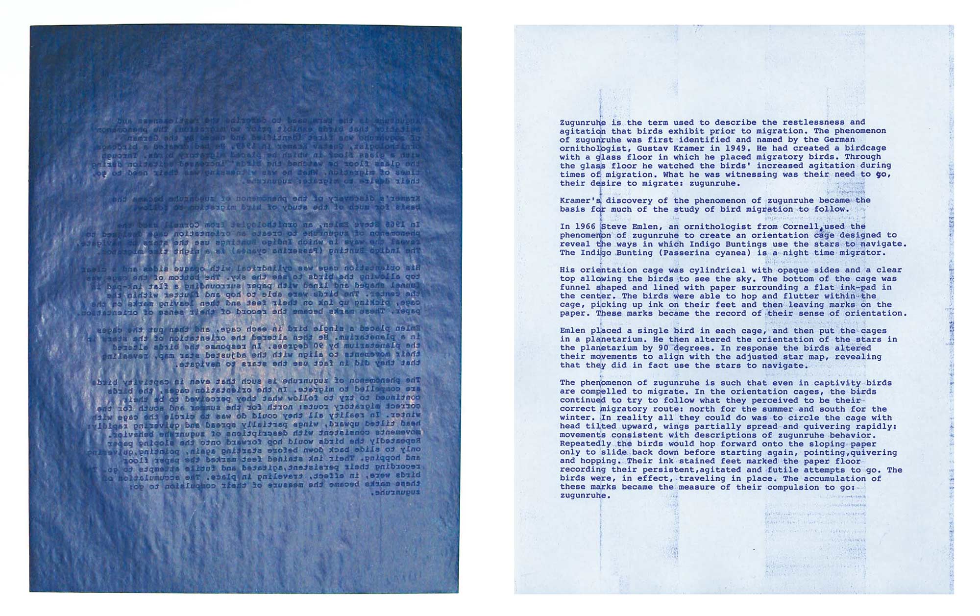Rachel Berwick’s artwork, which depicts a page of text bathed in blue. 