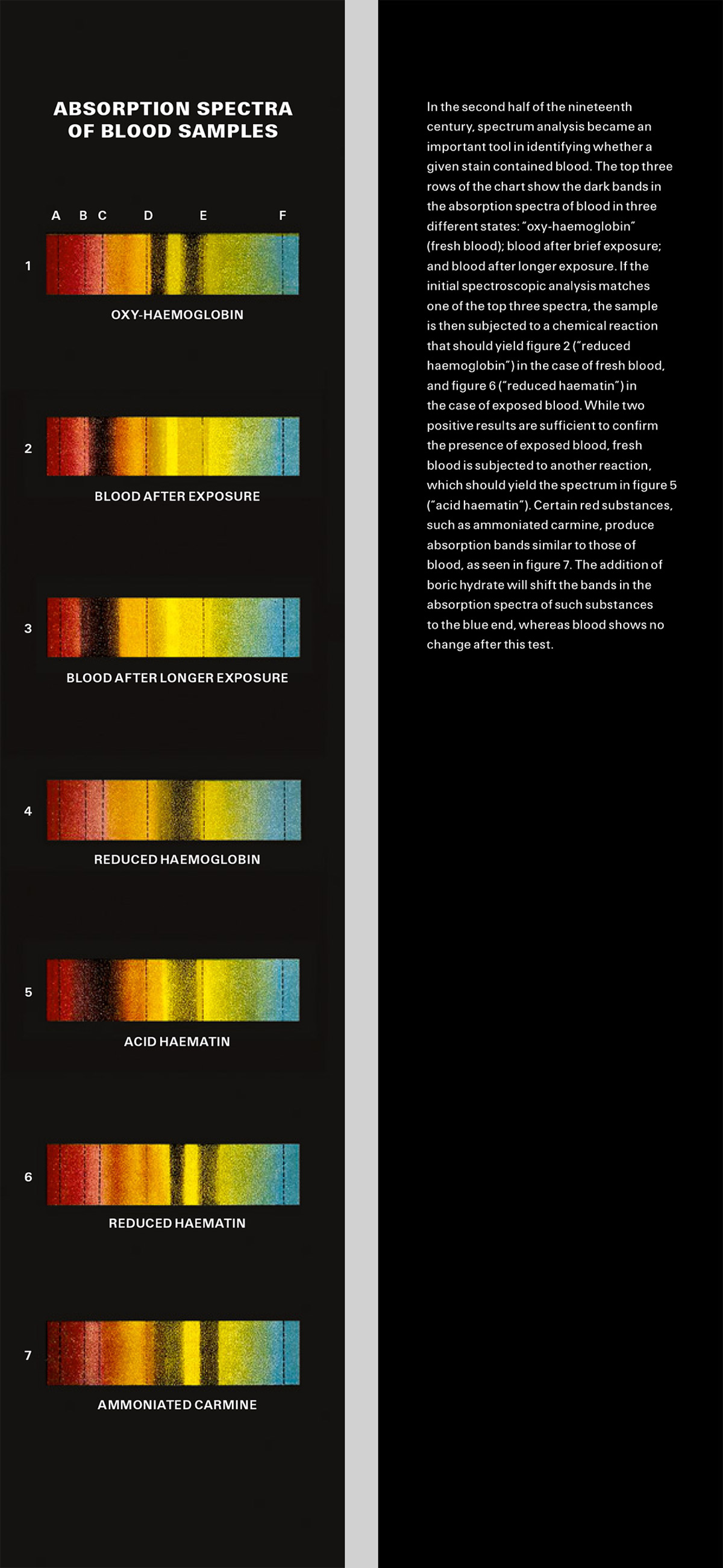 The front of this issue’s bookmark depicts the absorption spectra of blood samples. The back contains text that reads: “In the second half of the nineteenth century, spectrum analysis became an important tool in identifying whether a given stain contained blood. The top three rows of the chart show the dark bands in the absorption spectra of blood in three different states: “oxy-haemoglobin” (fresh blood); blood after brief exposure; and blood after longer exposure. If the initial spectroscopic analysis matches one of the top three spectra, the sample is then subjected to a chemical reaction that should yield figure 2 (“reduced haemoglobin”) in the case of fresh blood, and figure 6 (“reduced haematin”) in the case of exposed blood. While two positive results are sufficient to confirm the presence of exposed blood, fresh blood is subjected to another reaction, which should yield the spectrum in figure 5 (“acid haematin”). Certain red substances, such as ammoniated carmine, produce absorption bands similar to those of blood, as seen in figure 7. The addition of boric hydrate will shift the bands in the absorption spectra of such substances to the blue end, whereas blood shows no change after this test.”