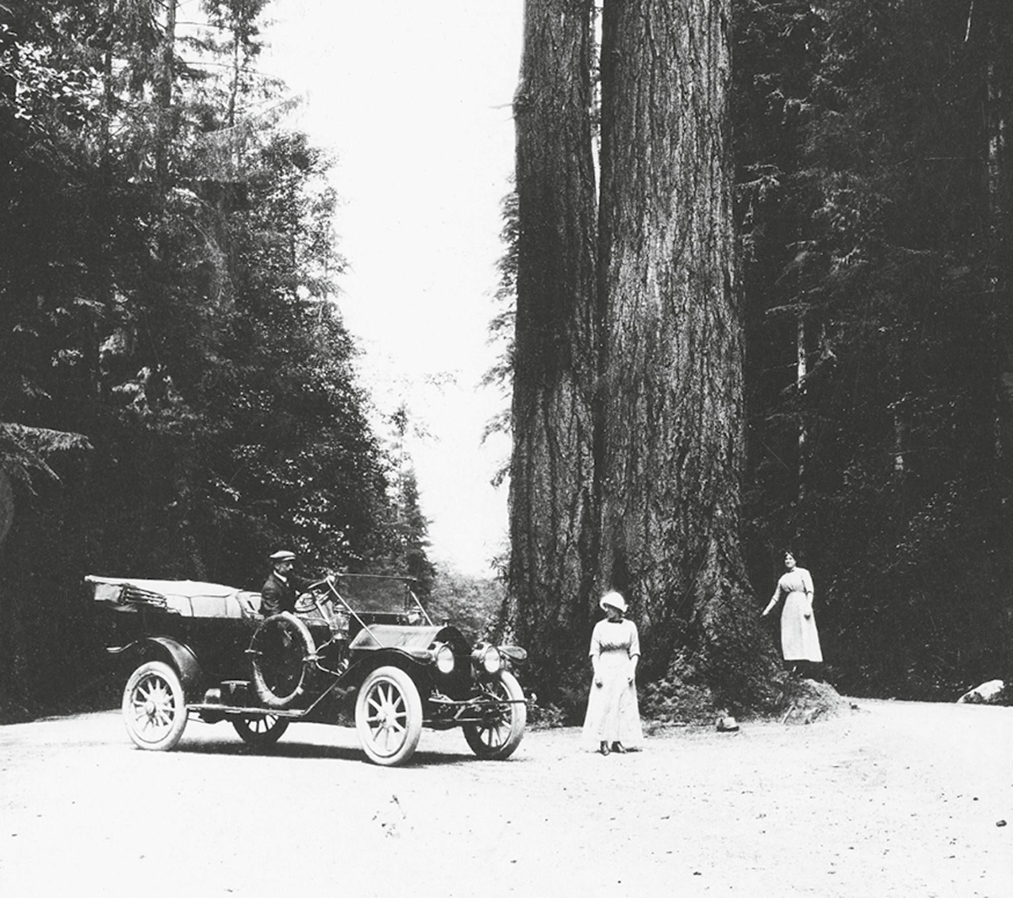 A photograph titled “Roundabout Vancouver: Stanley Park, circa nineteen tens.” It shows a three people and an automobile beneath a tree in a park.