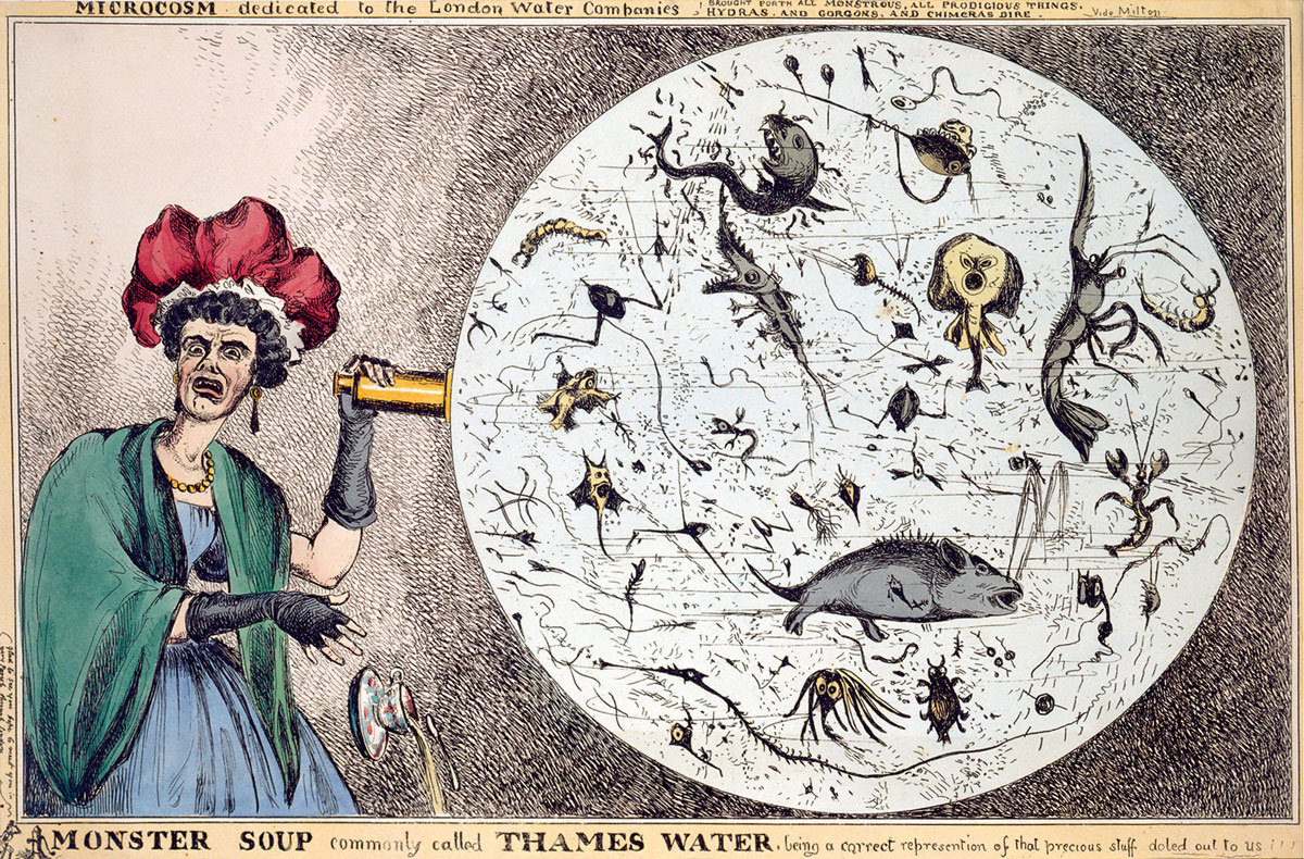 An eighteen twenty-eight etching by William Heath depicting a woman dropping her teacup in horror on discovering the monstrous contents of a magnified drop of water from the Thames, which, at the time, was the source of London’s drinking water.