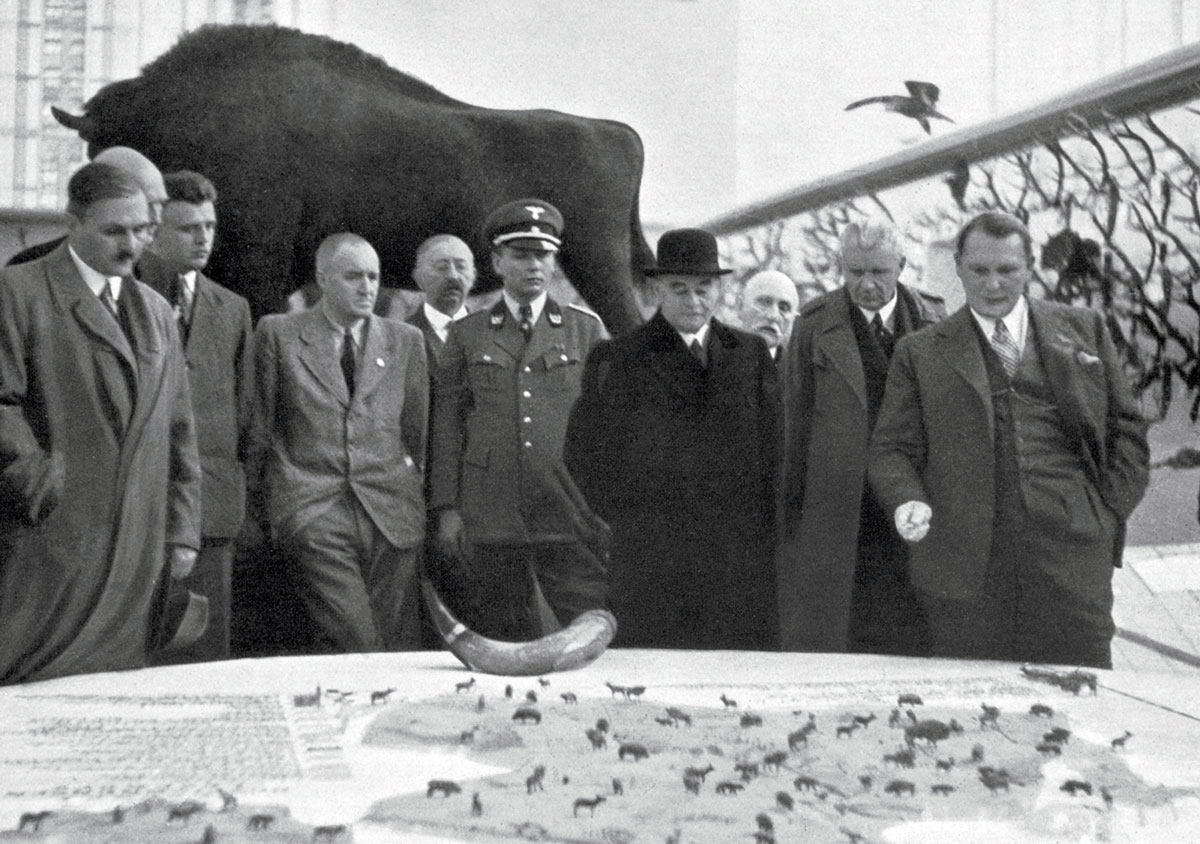 Lutz Heck (far left) and Hermann Göring (not surprisingly, on the far right) examining a relief map of the Białowieża Forest. The tiny figures represent characteristic game animals (elk, red deer, etc.); in the background a stuffed European bison looms. The horn sitting on the map is perhaps from a Heck aurochs. Image from Waidwerk der Welt, a catalogue published to accompany the 1937 International Hunting Exposition in Berlin.