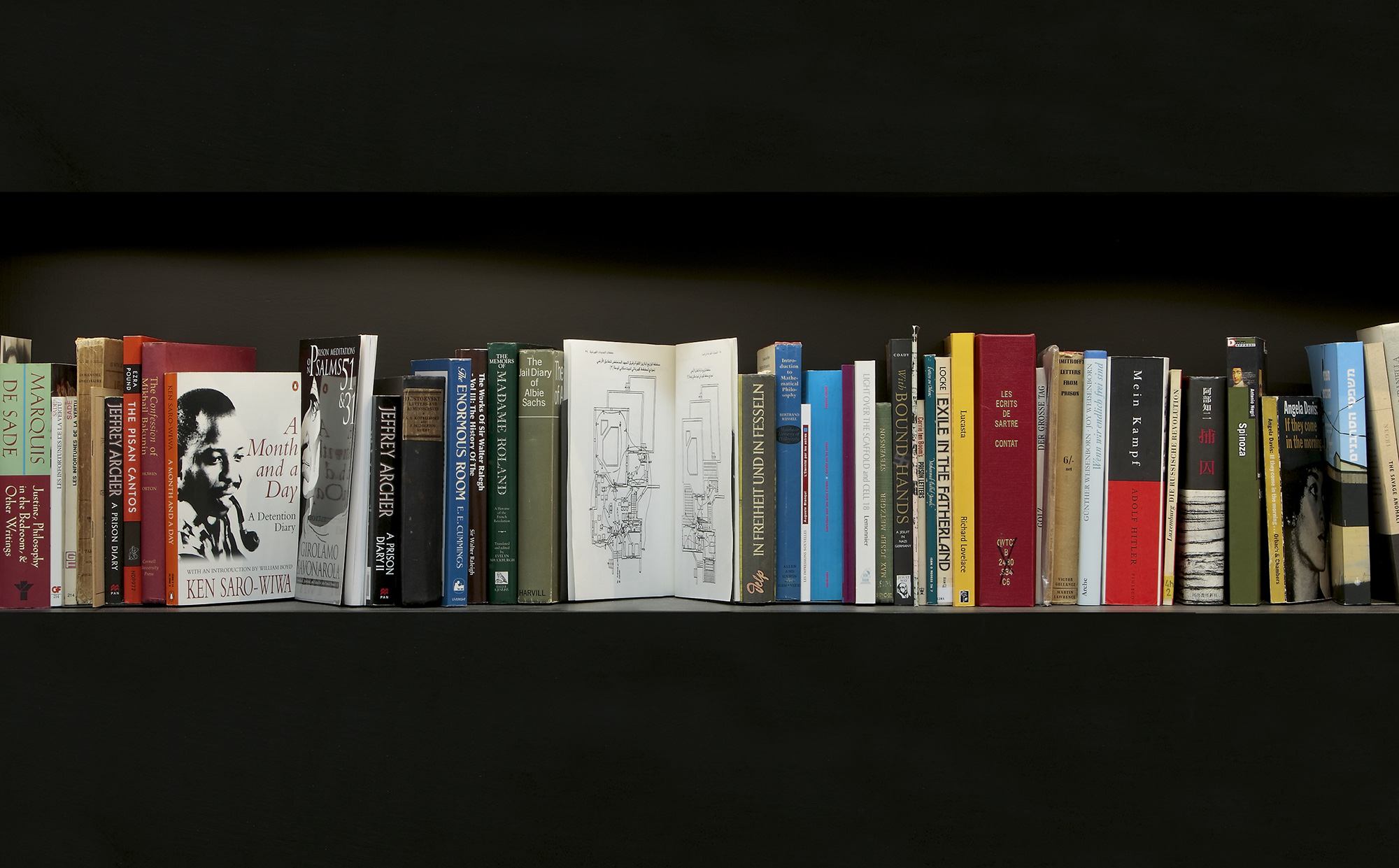A photograph of books displayed on a shelf. 