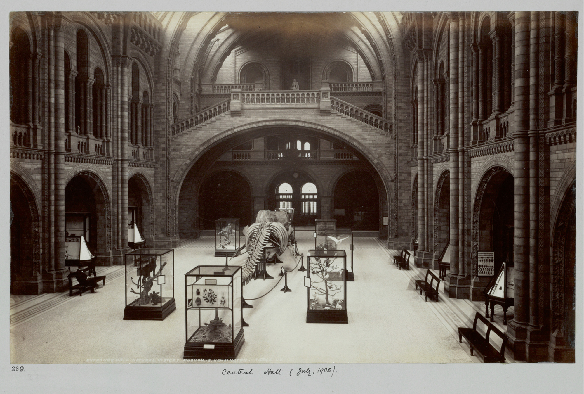 London’s Natural History Museum with the seven displays created by Henry Flower in place. All images courtesy the Natural History Museum.
