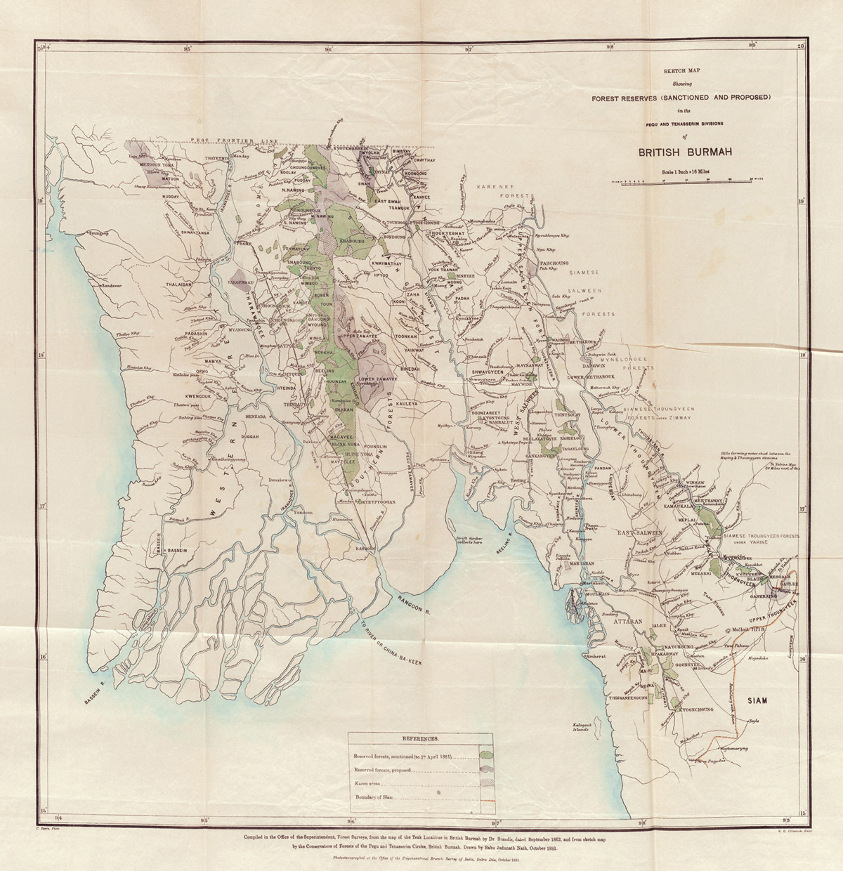 A large-scale forest plan for Burma from the 1870s, one of the earliest such plans ever devised. Courtesy Botany Libraries, Harvard University Herbaria.