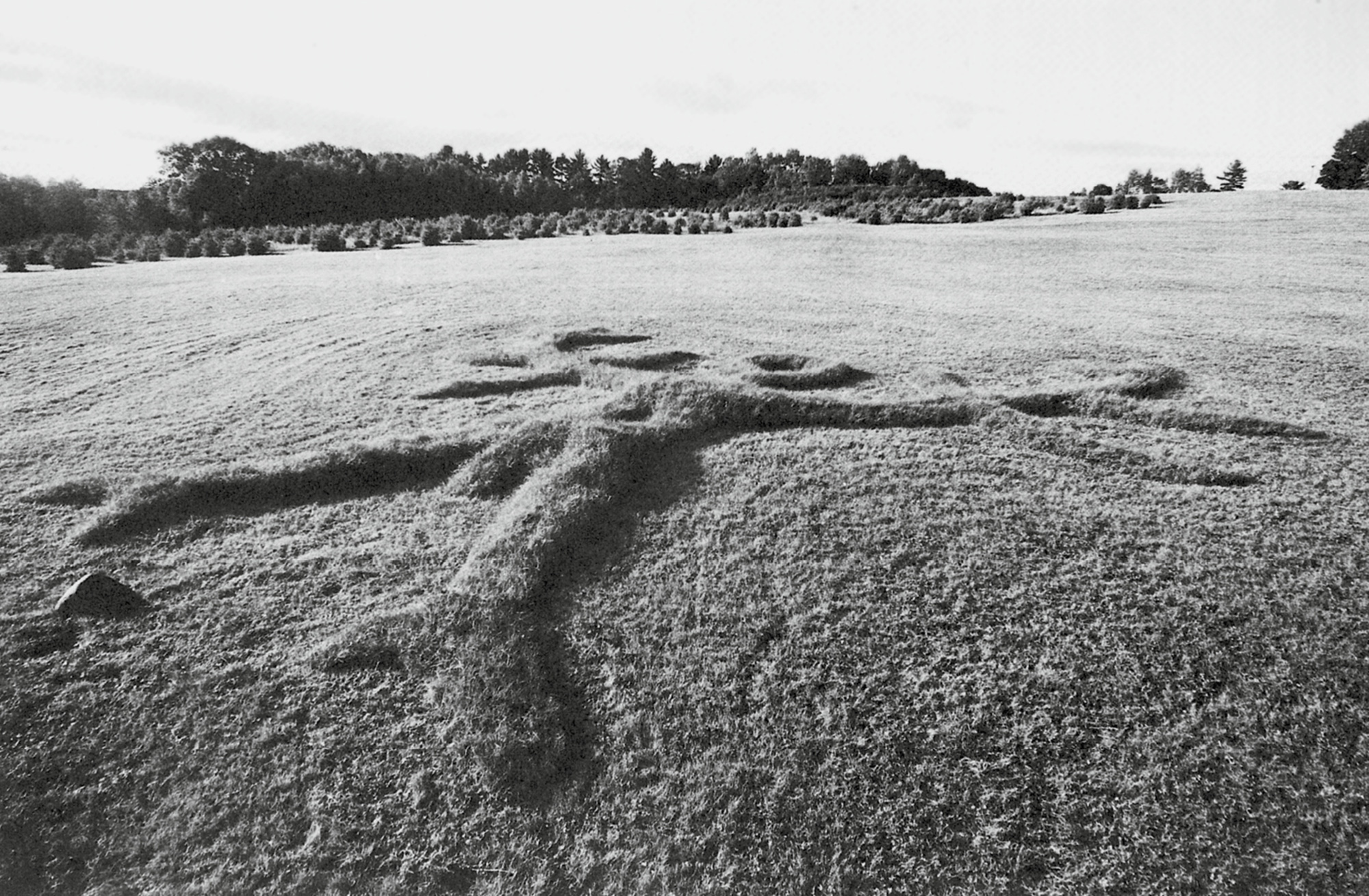 A photograph of James Pierce’s nineteen seventy-eight artwork titled “Suntreeman.”