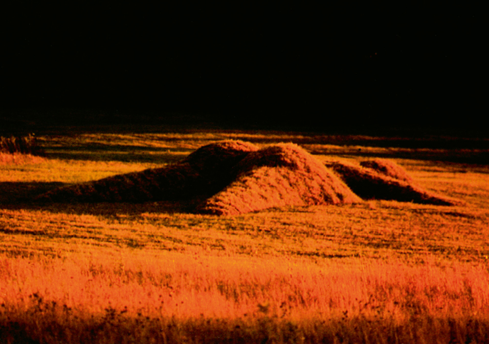 A photograph of James Pierce’s nineteen seventy-seven land artwork “Earthwoman.”