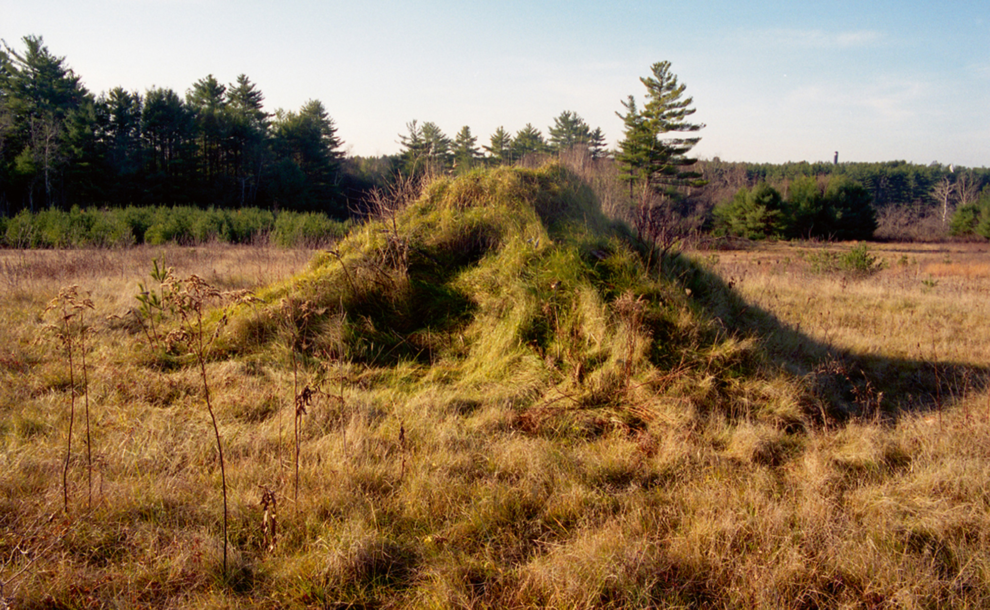 A nineteen ninety-nine photograph of James Pierce’s land artwork titled “Janus.”