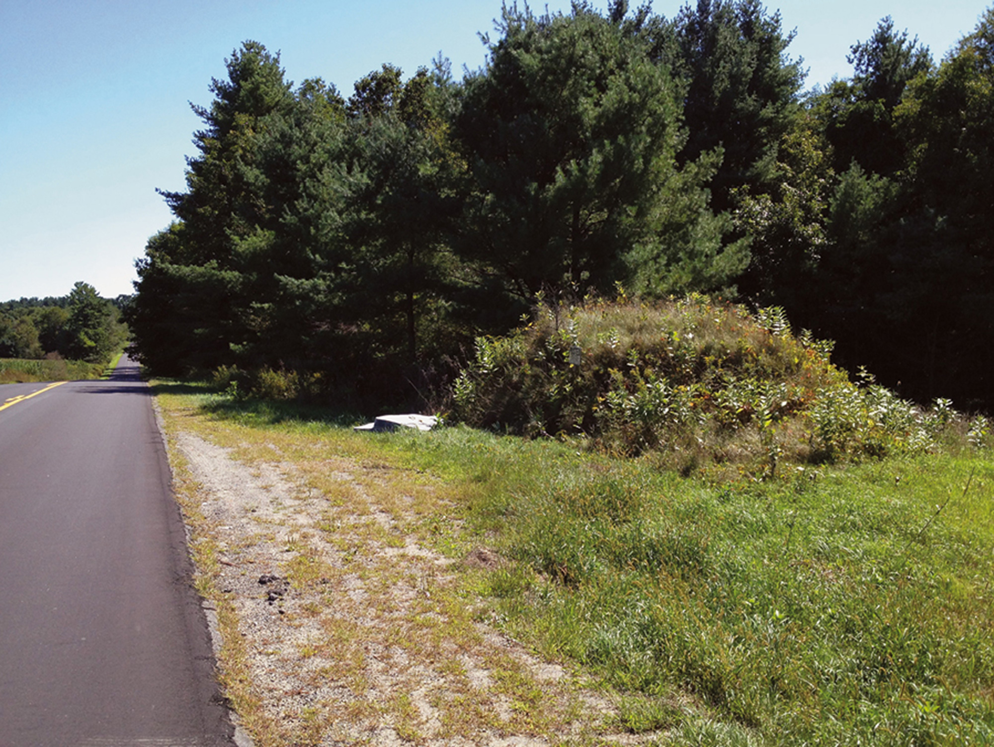 A twenty twelve photograph of James Piece’s earthwork “Motte,” being kept company by mattresses.