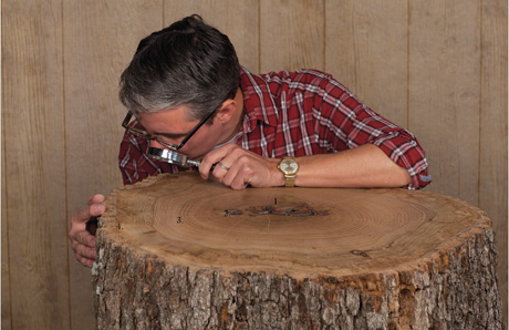 A photograph of the author examining a very old tree trunk.