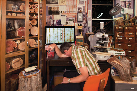 A photograph of the author examining tree cores with a microscope. 