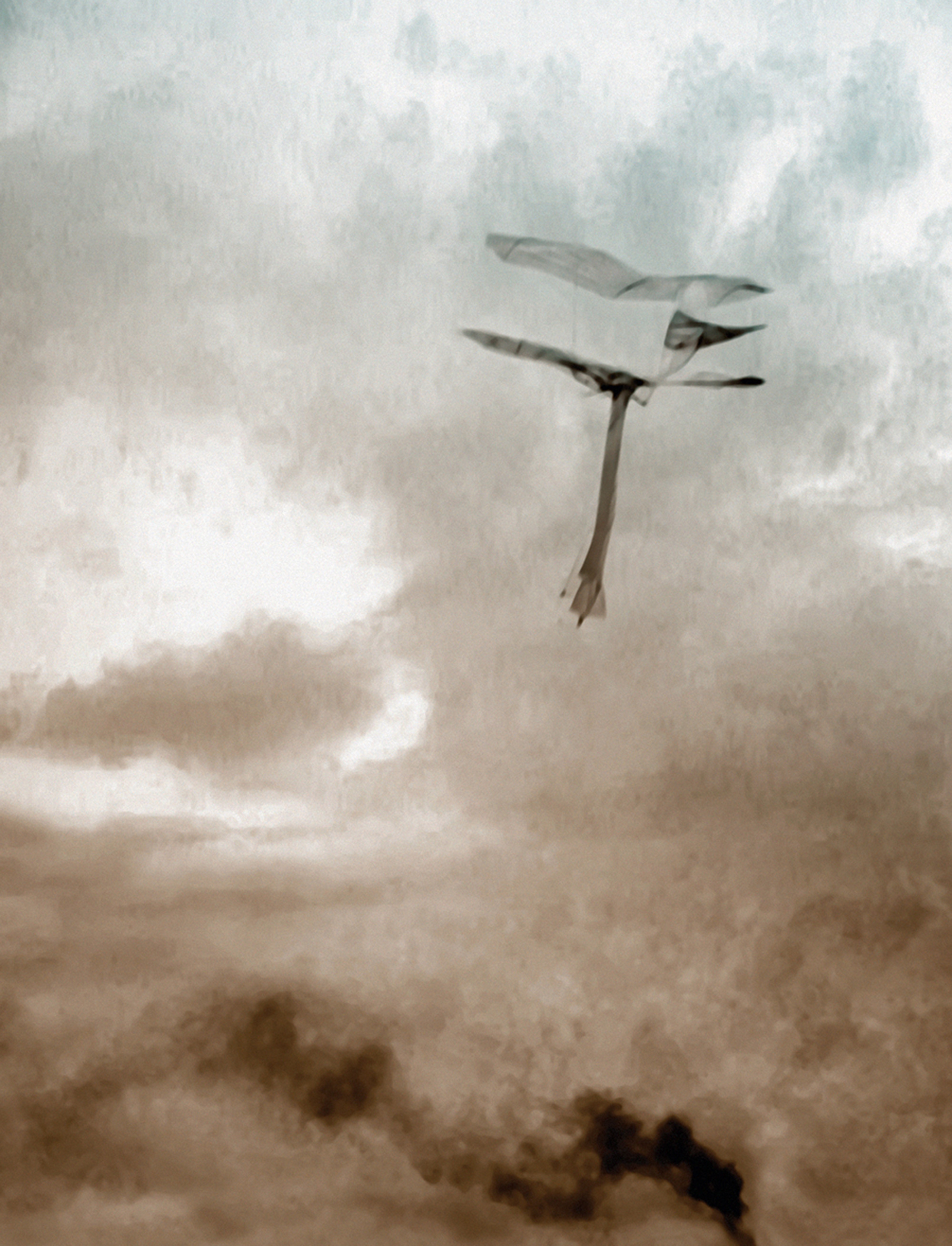 Oliver Wasow’s twenty ten artwork “Smoke and Wings.” It depicts some kind of kite-like avian figure in the sky.