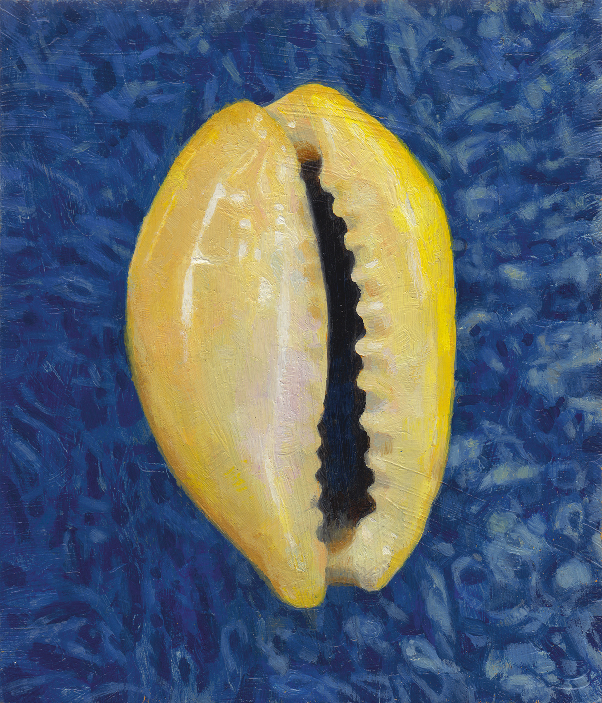 Untitled Project: eBay | Cypraea moneta [Sea Shells Cypraea moneta Cowrie 20.6mm golden, $8.88] oil on wood panel, 175mm ×× 150mm, 2013.