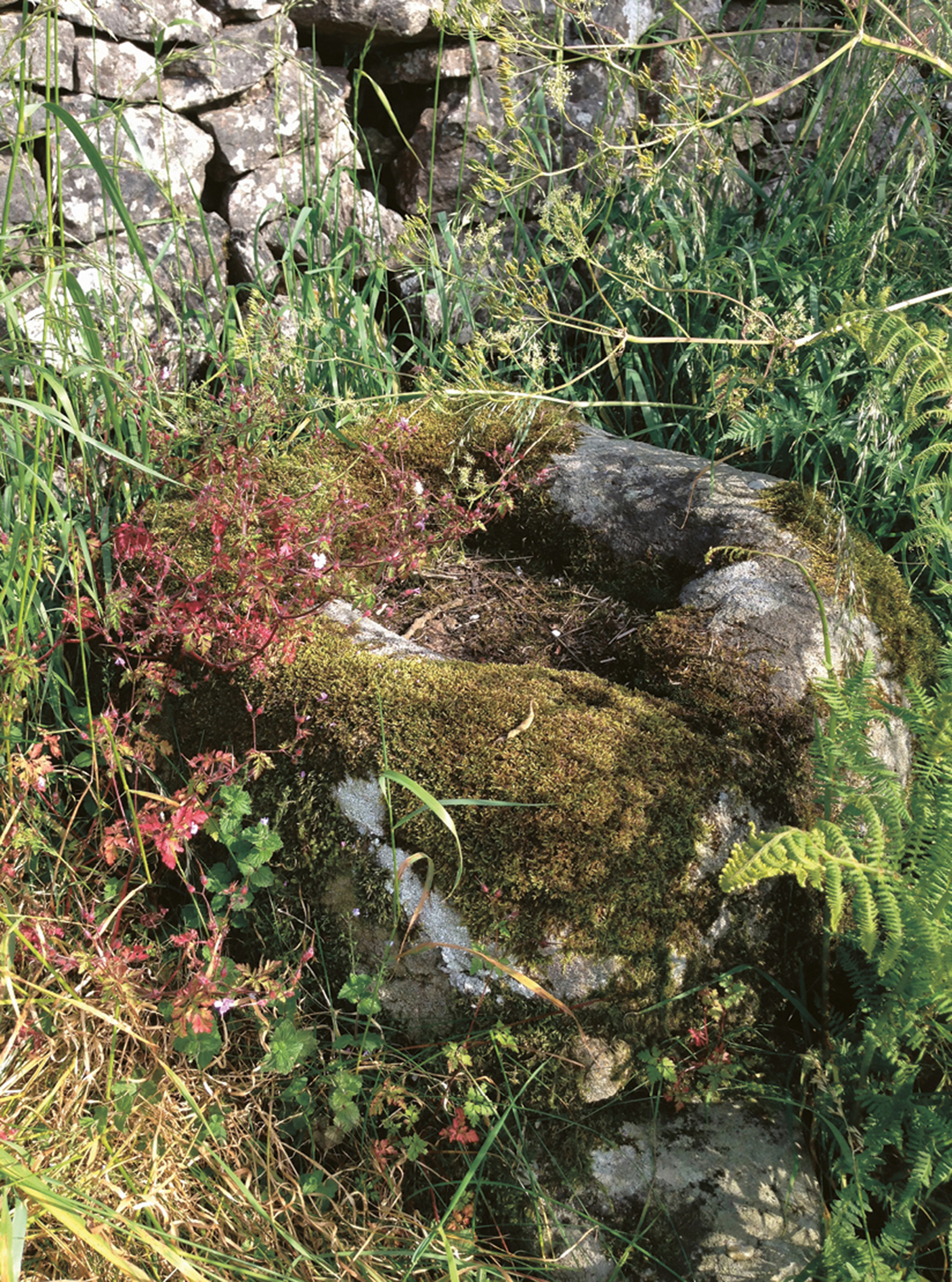 Artist Sophie Nys’s photograph of a plague stone at Rylstone, North Yorkshire.