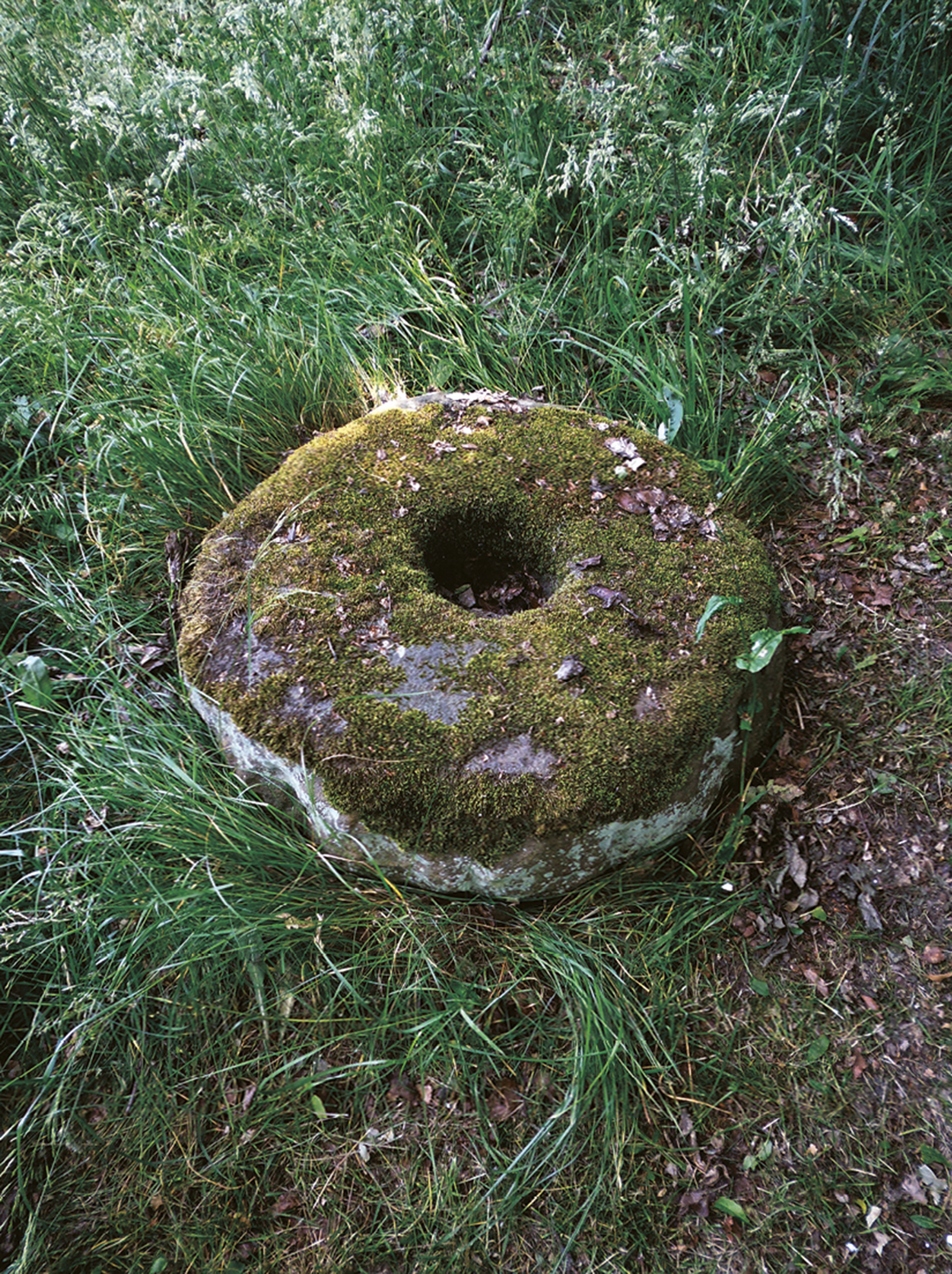 Artist Sophie Nys’s photograph of a plague stone at Leeds, West Yorkshire.