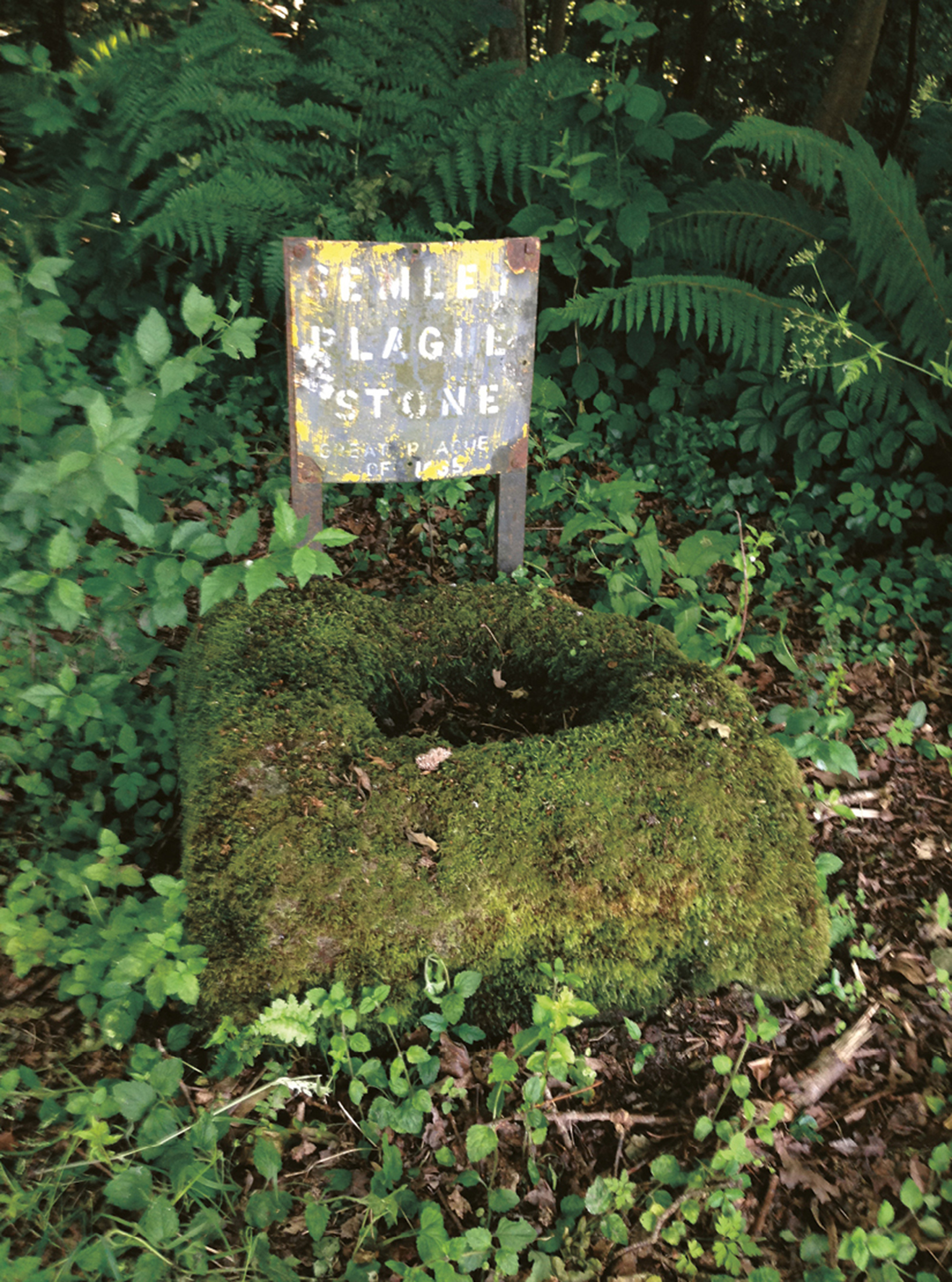 Artist Sophie Nys’s photograph of a plague stone at Semley, Wiltshire.
