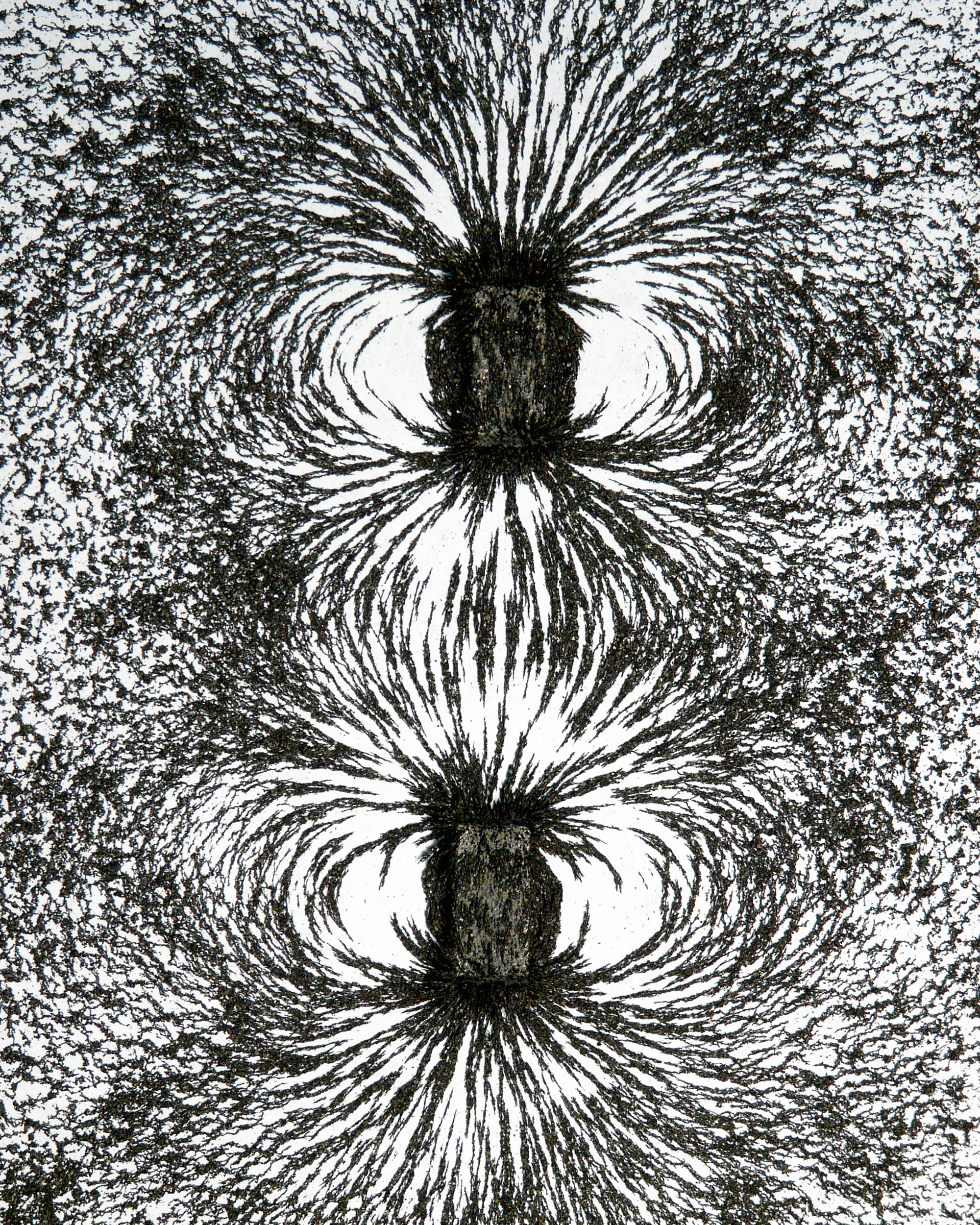 An image of iron filings that reveal the patterns of attraction between magnetic objects.