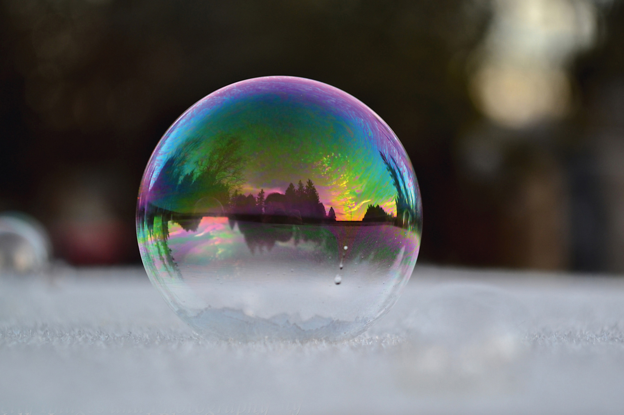 The perfect bubble. Photo Angela Kelly.