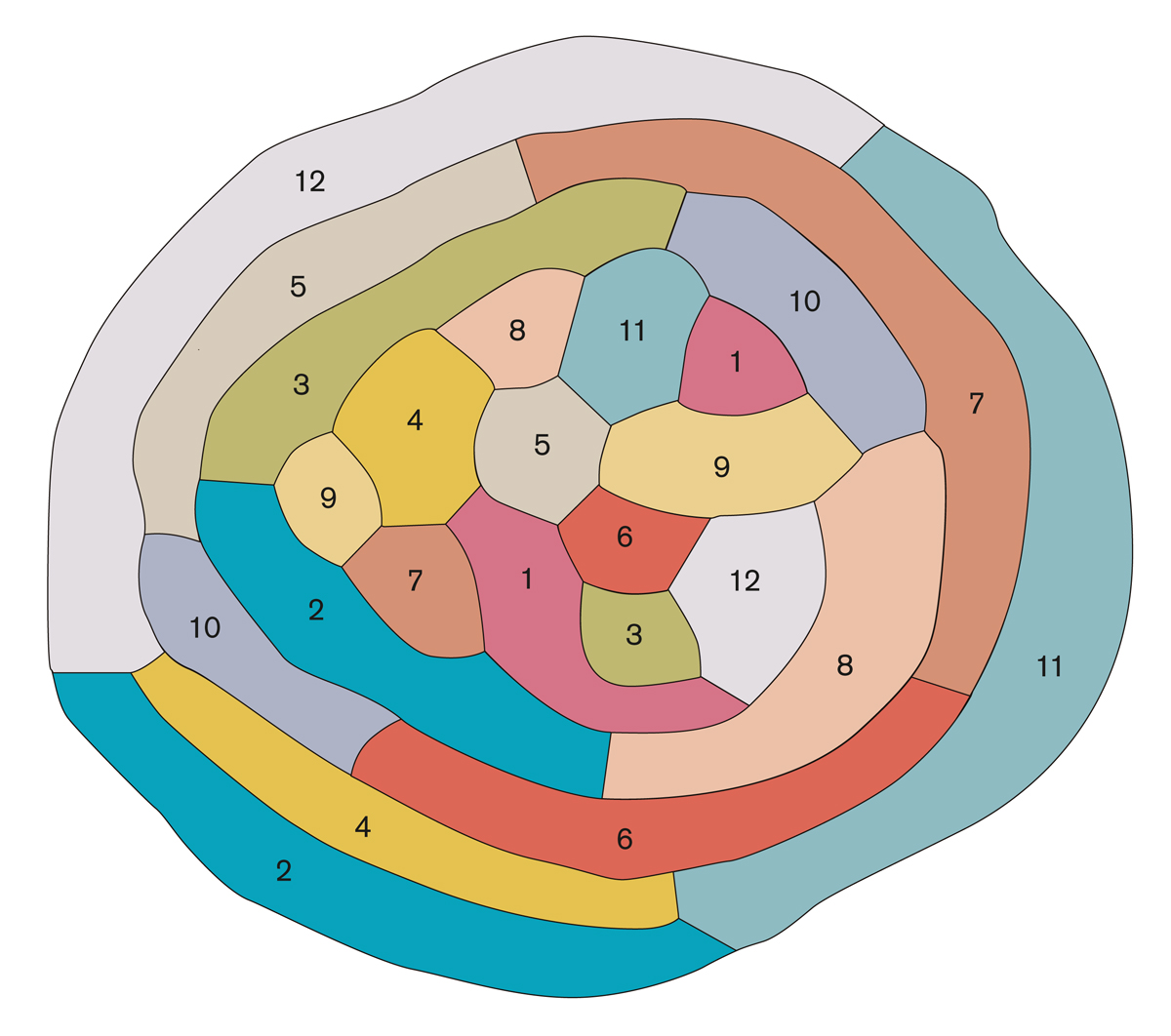 A drawing by mathematician Ian Stewart demonstrating that in the case of maps in which every country consists of two non-contiguous territories, a maximum of only 12 colors is needed to visually distinguish territories from one another, no matter how many such countries are being mapped. In the simpler scenario in which all countries consist of only a single land mass, a maximum of just four colors is needed.