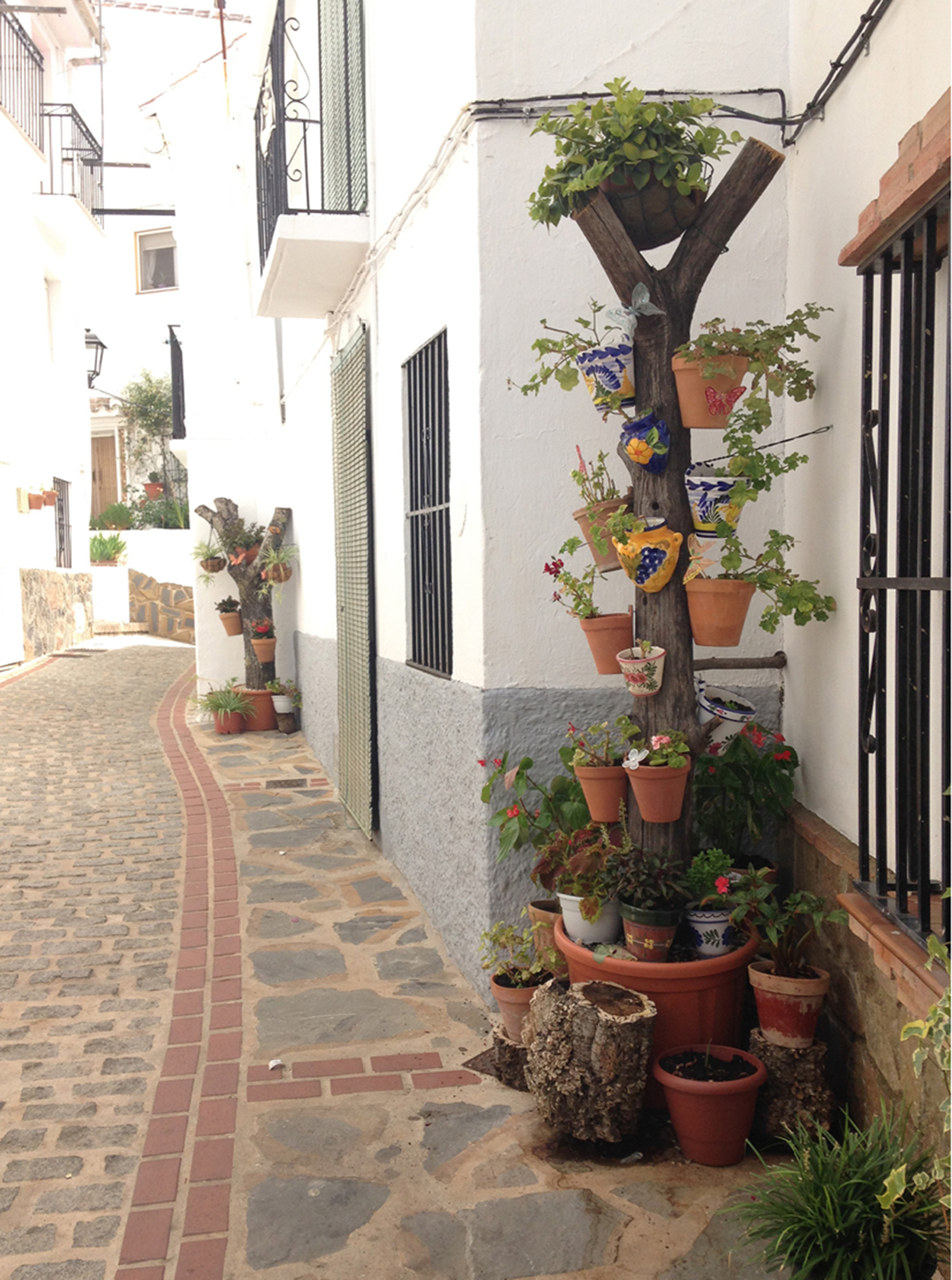 A photograph of a quaint, narrow cobbled street lined by white houses in the village of Jubrique, Spain.
