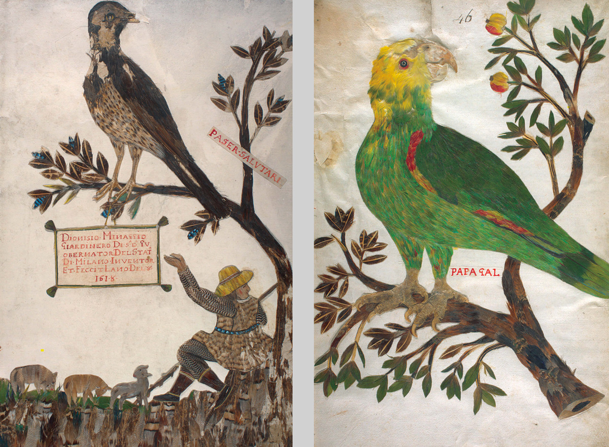 Two pages depicting images of birds made entirely out of feathers from Minaggio’s “Feather Book.” The Italian inscription reads: “Dionisio Minaggio, gardener to His Excellency the Governor of Milan, was the creator, and he made [this book] in the year sixteen eighteen.” 