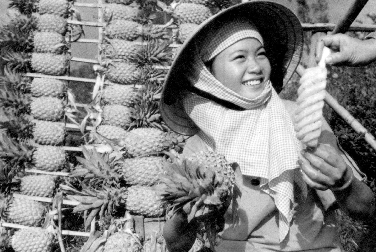 A photograph of a girl with pineapples. From a 1992 guidebook published in Vietnam entitled “Thanh pho HCM tu gioi thieu.”