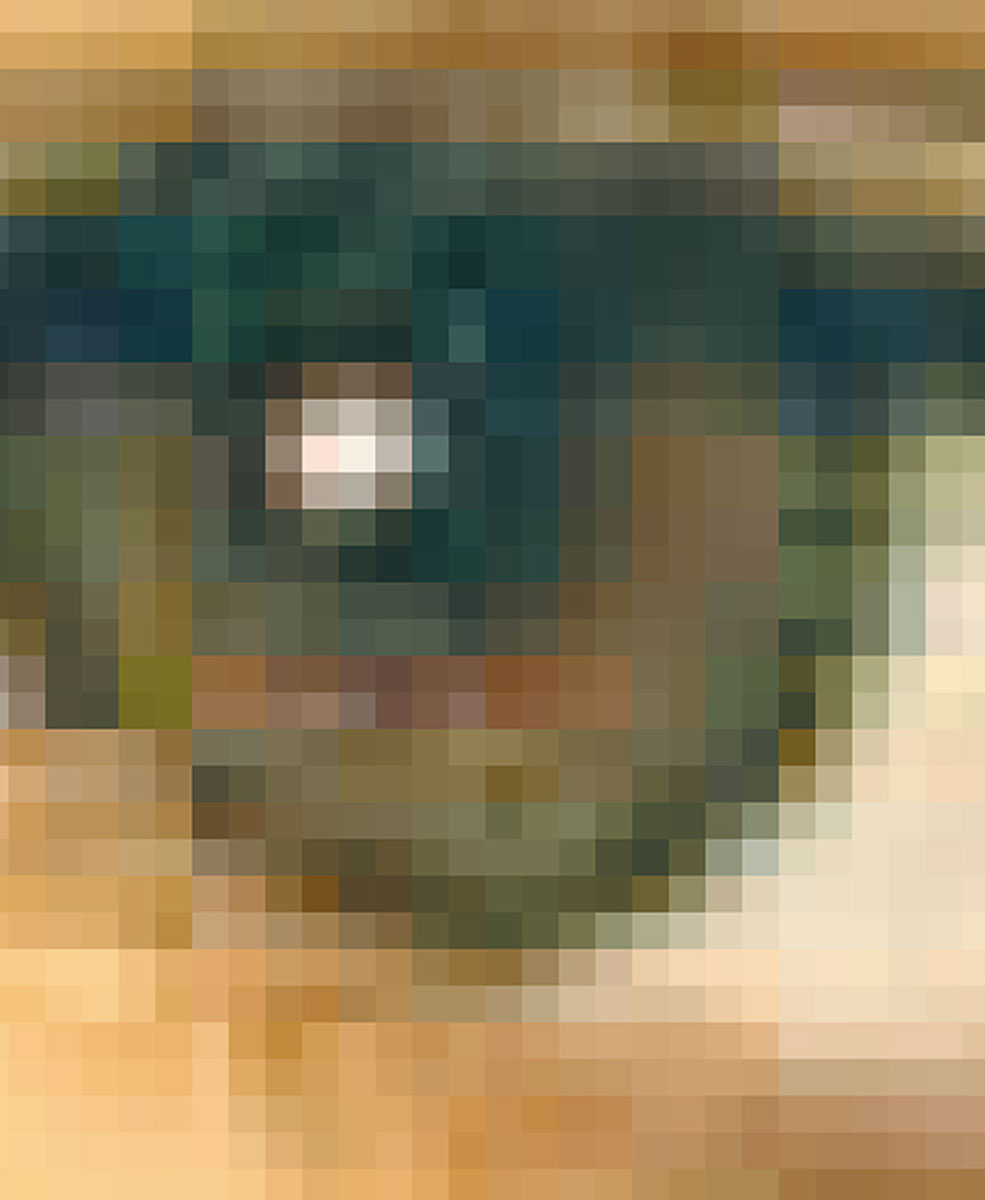 A pixelated photograph of a hazel eye.